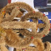 Img 5353