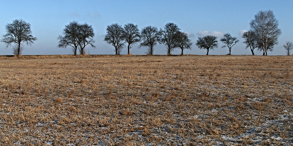 wymarzniecia.jpg
